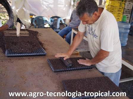 se desliza el cilindro ahollador para hacer huecos en las bandejas del semillero